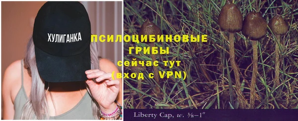 кокаин премиум Богданович
