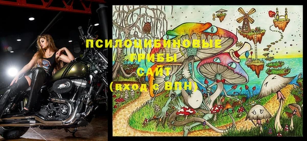 кокаин премиум Богданович